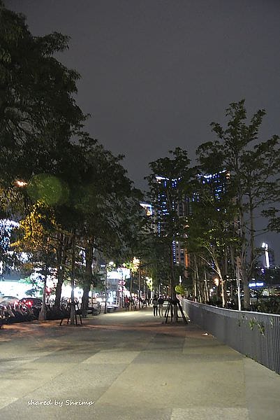 DSC_1917.JPG DSC_1917.JPG