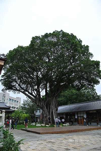 DSC_1890.JPG DSC_1890.JPG