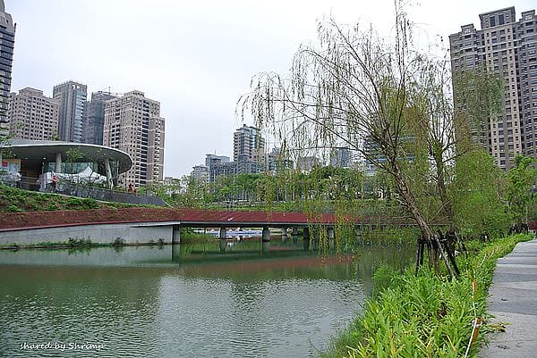 DSC_1971.JPG DSC_1971.JPG