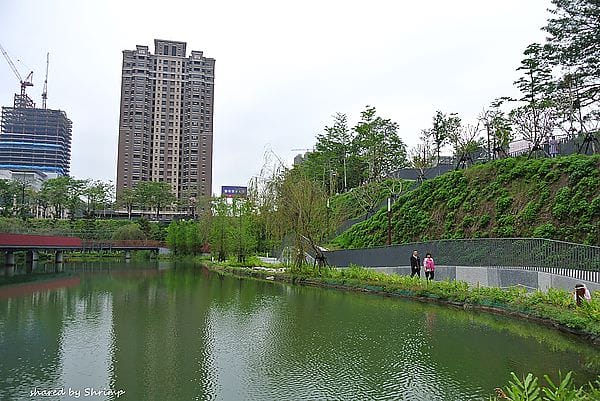 DSC_1972.JPG DSC_1972.JPG