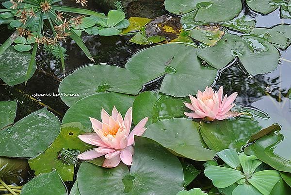 DSC_1895.JPG DSC_1895.JPG