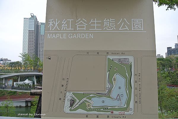 DSC_1965.JPG DSC_1965.JPG