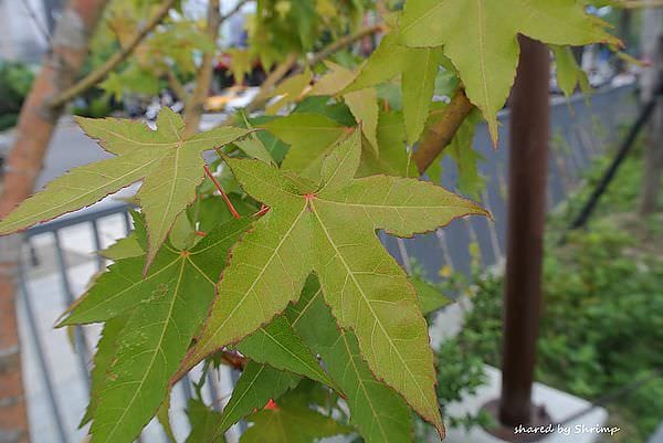 DSC_1967.JPG DSC_1967.JPG