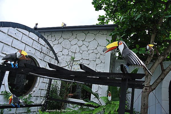 DSC_1882.JPG DSC_1882.JPG