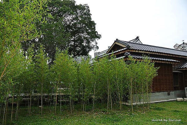 DSC_1896.JPG DSC_1896.JPG