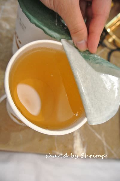 DSC_3102.JPG DSC_3102.JPG