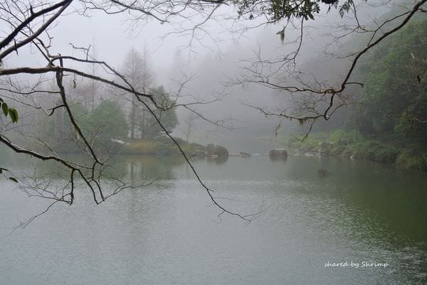 DSC_3771.JPG DSC_3771.JPG