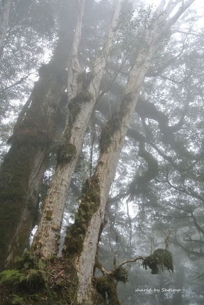 DSC_3677.JPG DSC_3677.JPG