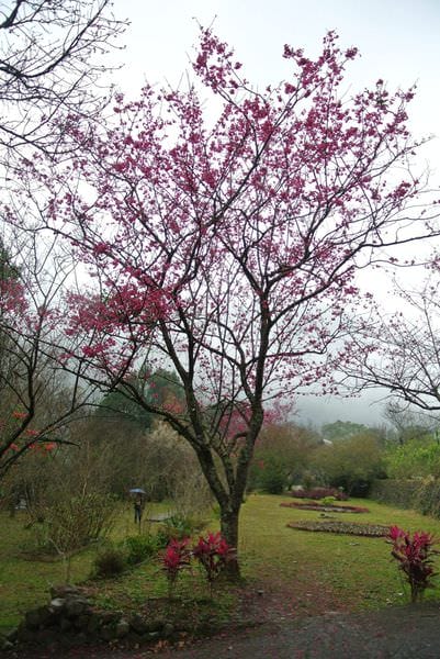 DSC_3804.JPG DSC_3804.JPG