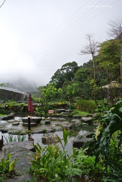 DSC_4279.JPG DSC_4279.JPG