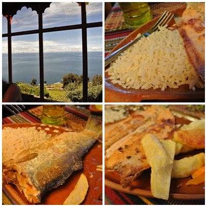 cats11.jpg cats11.jpg