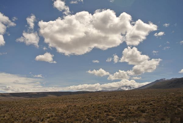 DSC_4983.JPG DSC_4983.JPG