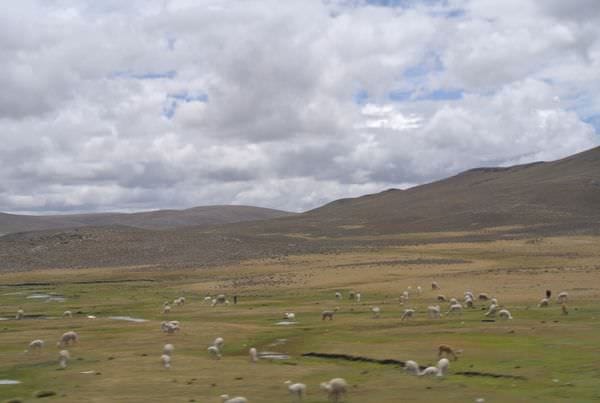 DSC_5000.JPG DSC_5000.JPG