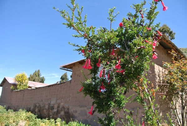 DSC_5252.JPG DSC_5252.JPG