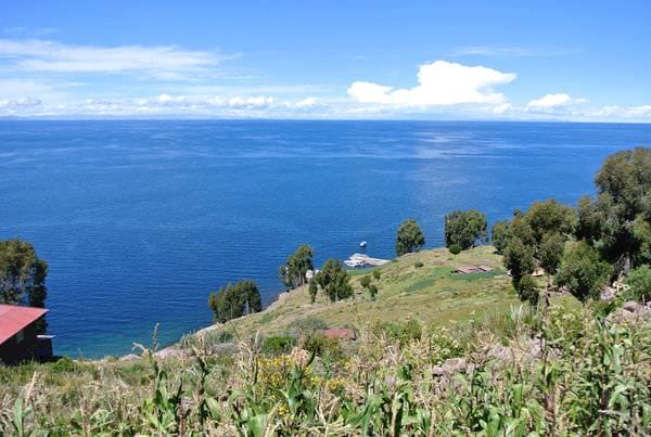 DSC_5239.JPG DSC_5239.JPG