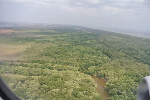 DSC_4663.JPG DSC_4663.JPG