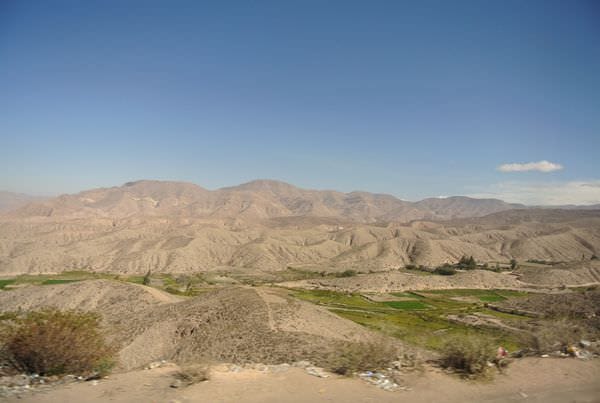 DSC_4981.JPG DSC_4981.JPG