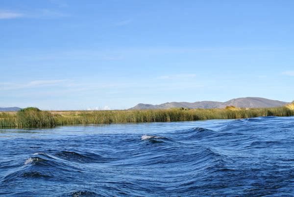 DSC_5290.JPG DSC_5290.JPG