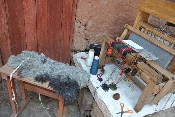 DSC_5324.JPG DSC_5324.JPG