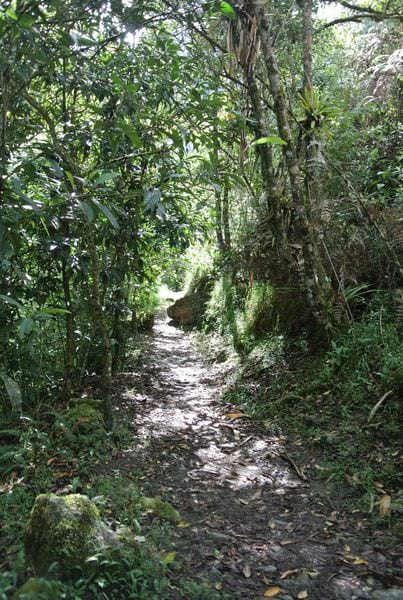 DSC_5664.JPG DSC_5664.JPG