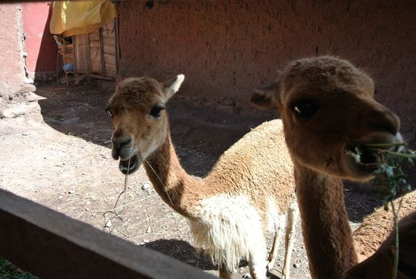 DSC_5321.JPG DSC_5321.JPG