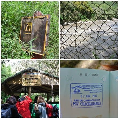 cats001.jpg cats001.jpg