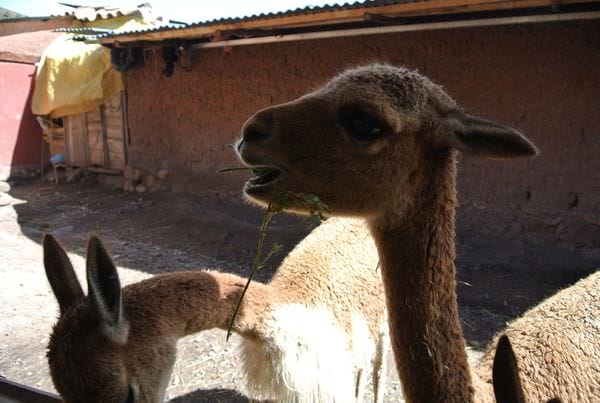 DSC_5322.JPG DSC_5322.JPG