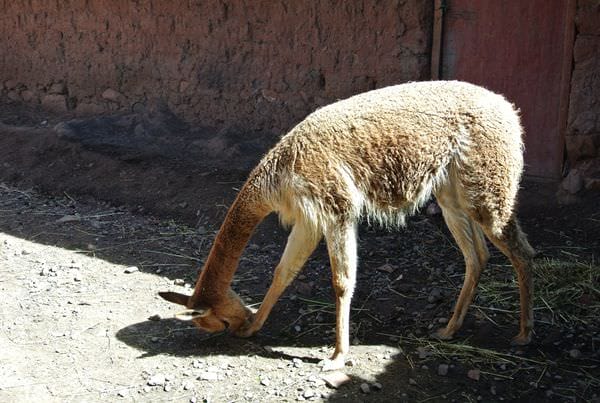 DSC_5325.JPG DSC_5325.JPG