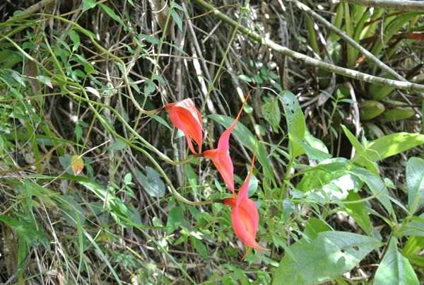 DSC_5688.JPG DSC_5688.JPG