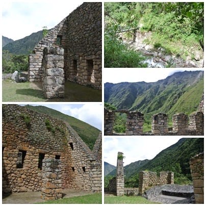 cats002.jpg cats002.jpg