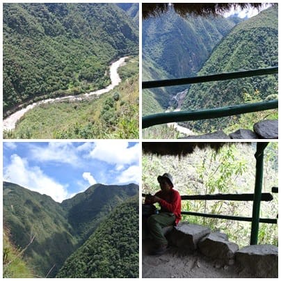 cats003.jpg cats003.jpg