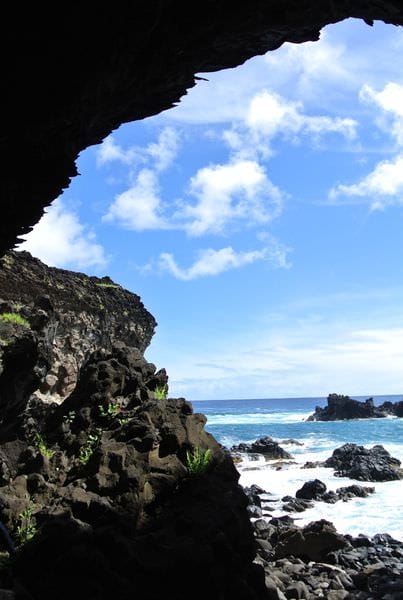 DSC_6555.JPG DSC_6555.JPG