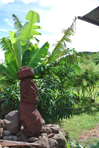 DSC_6546.JPG DSC_6546.JPG