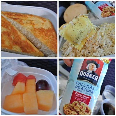 cats0012.jpg cats0012.jpg