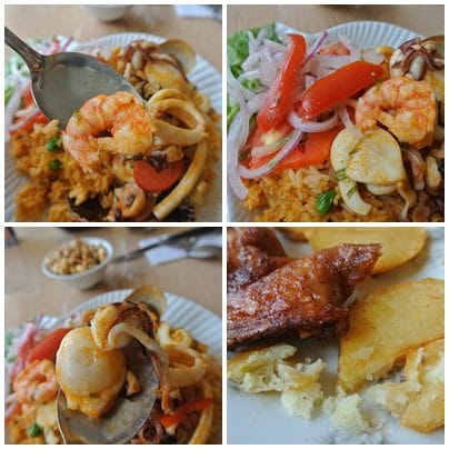 cats002.jpg cats002.jpg