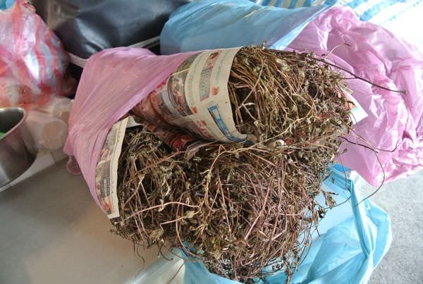 DSC_9378.JPG DSC_9378.JPG