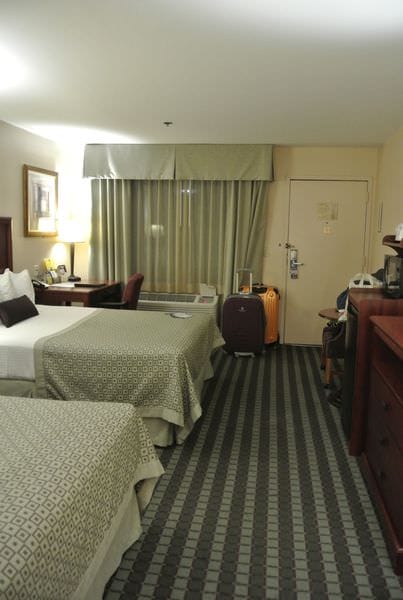 DSC_8121.JPG DSC_8121.JPG