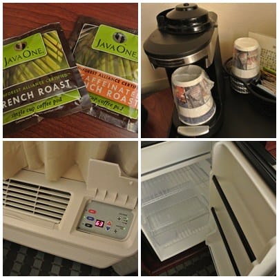 cats12.jpg cats12.jpg