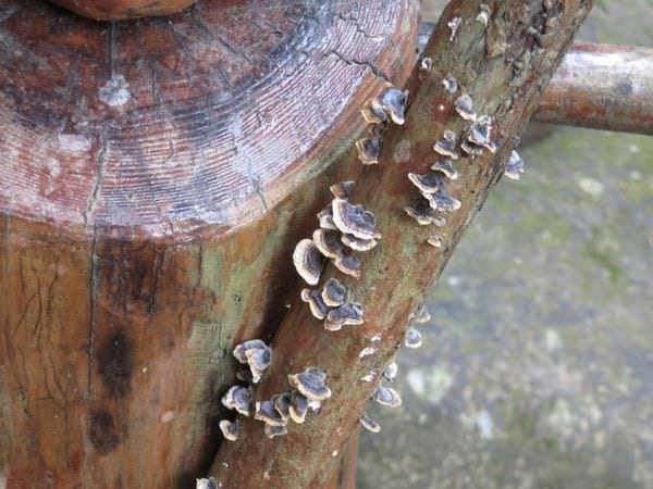 IMG_1187.JPG IMG_1187.JPG