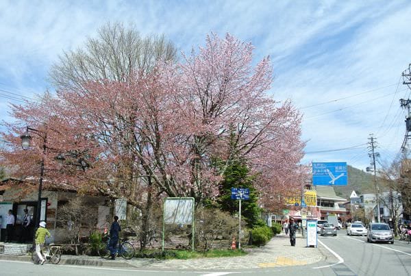 DSC_8826.JPG DSC_8826.JPG