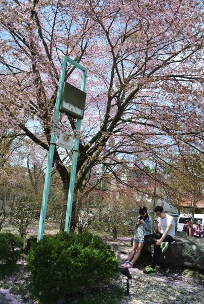 DSC_8828.JPG DSC_8828.JPG