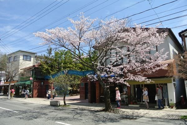 DSC_8821.JPG DSC_8821.JPG