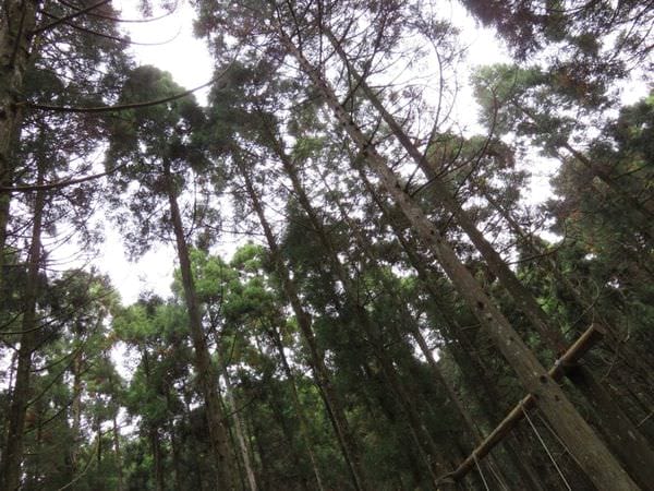 IMG_1190.JPG IMG_1190.JPG