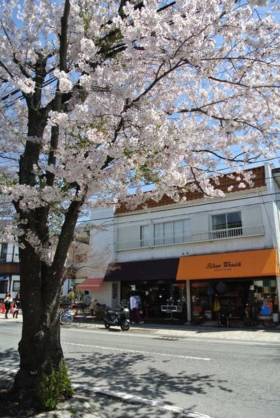 DSC_8811.JPG DSC_8811.JPG