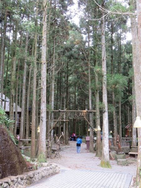 IMG_1182.JPG IMG_1182.JPG