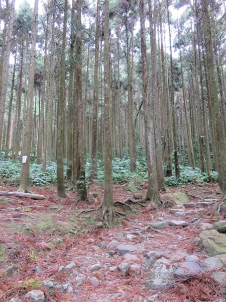 IMG_1191.JPG IMG_1191.JPG