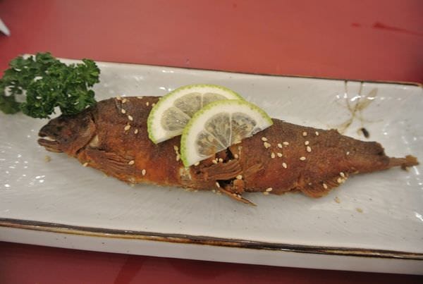 DSC_9806.JPG DSC_9806.JPG