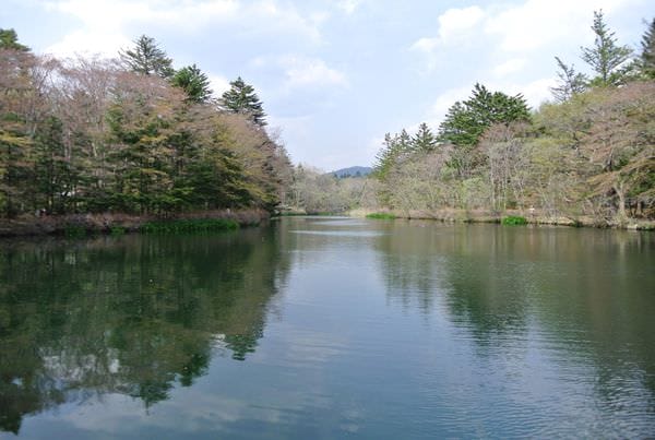 DSC_8847.JPG DSC_8847.JPG