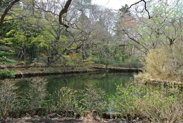 DSC_8846.JPG DSC_8846.JPG