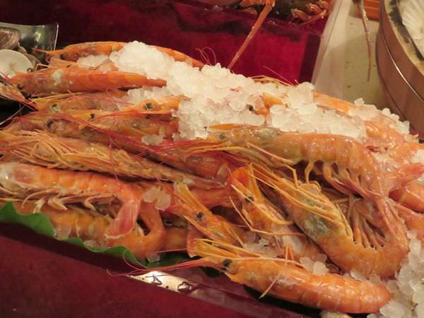 IMG_1586.JPG IMG_1586.JPG